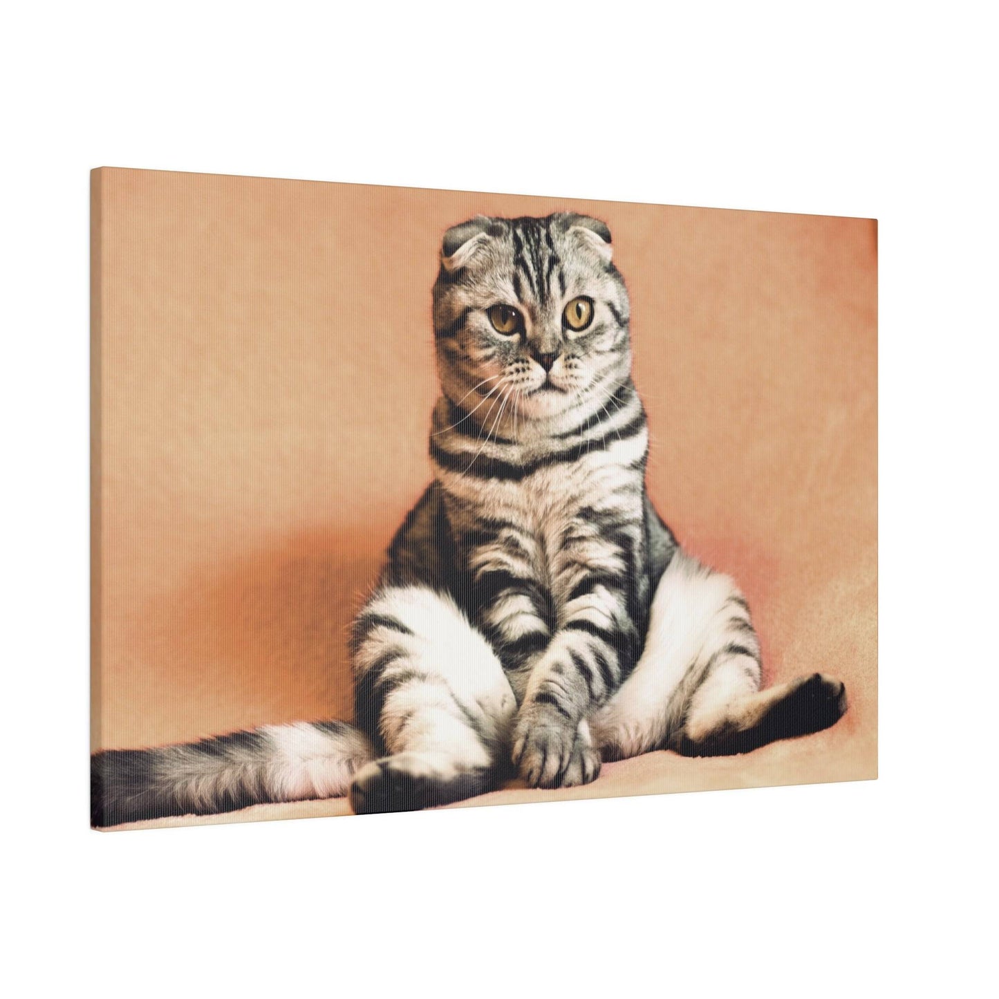 Scottish Fold cat sitting with a regal pose, showing off its distinct markings.