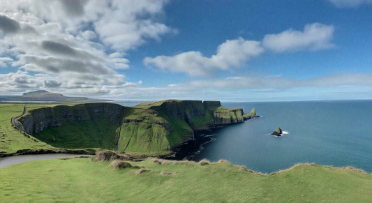 Green coastal cliffs fall into the blue sea, with a grassy foreground and a cloudy sky overhead.