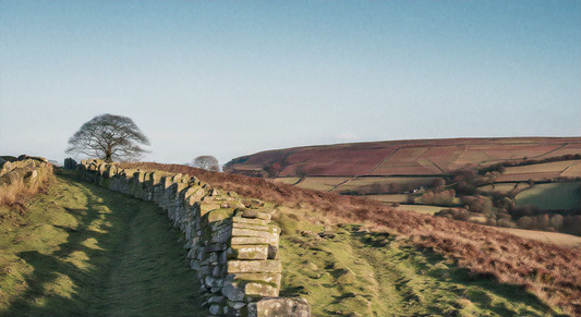 Capturing the Beauty of Yorkshire: Stunning Landscape Prints