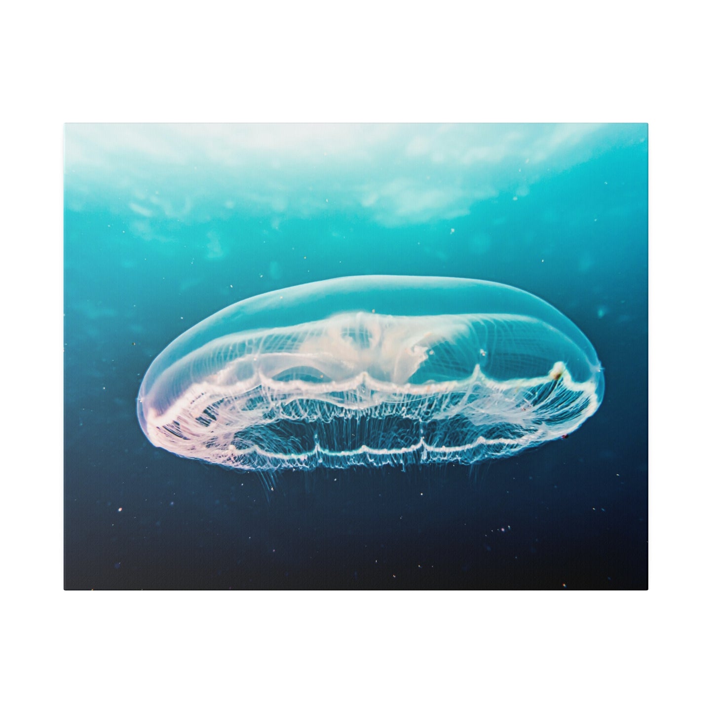 Serene Jellyfish Glide: Underwater Tranquillity Canvas Art