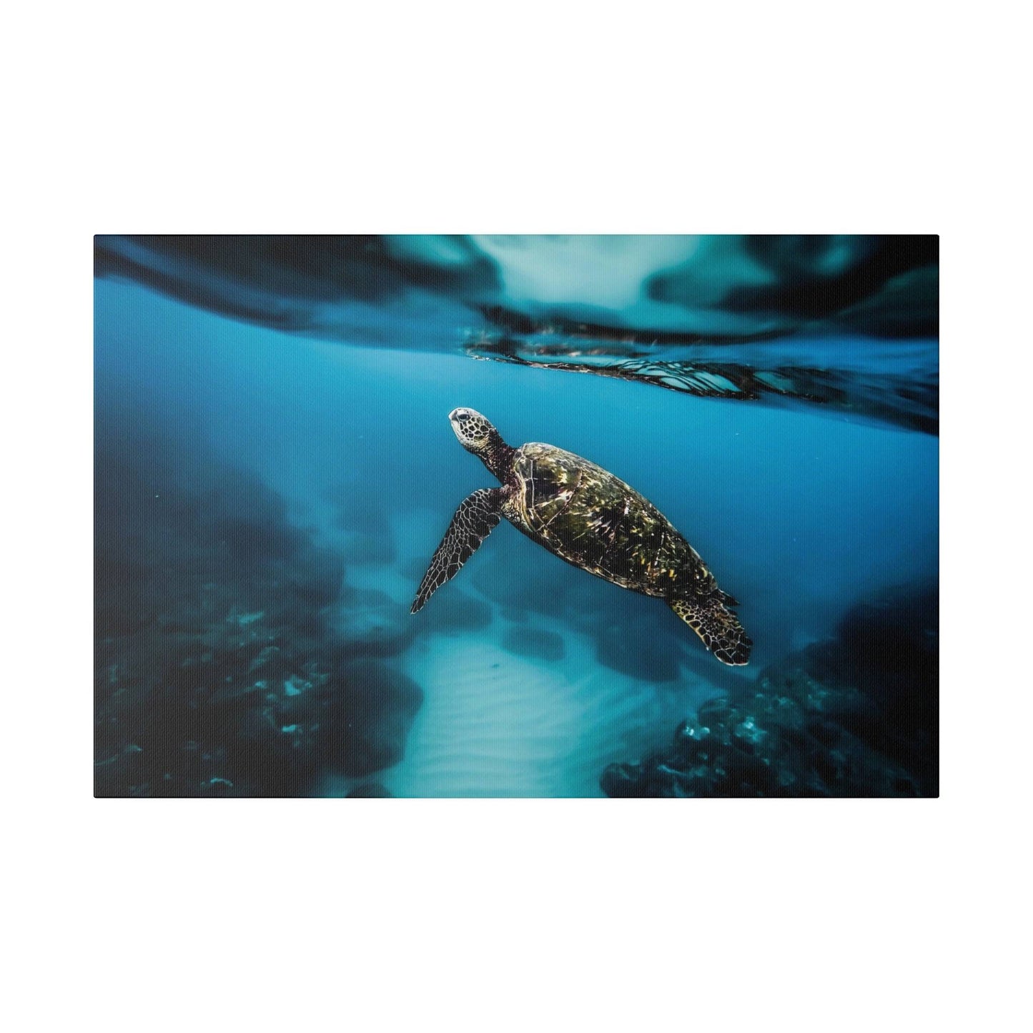 a turtle swimming in the ocean with its head above the water