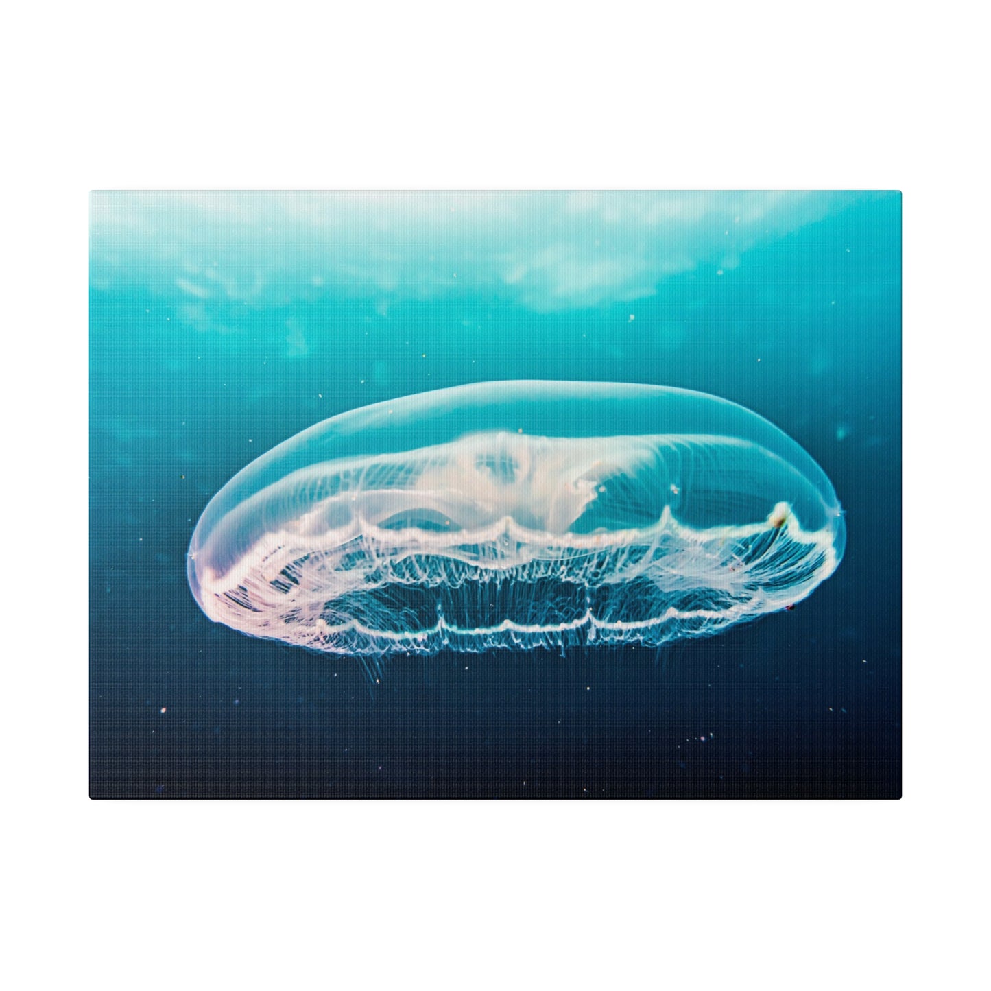 Serene Jellyfish Glide: Underwater Tranquillity Canvas Art