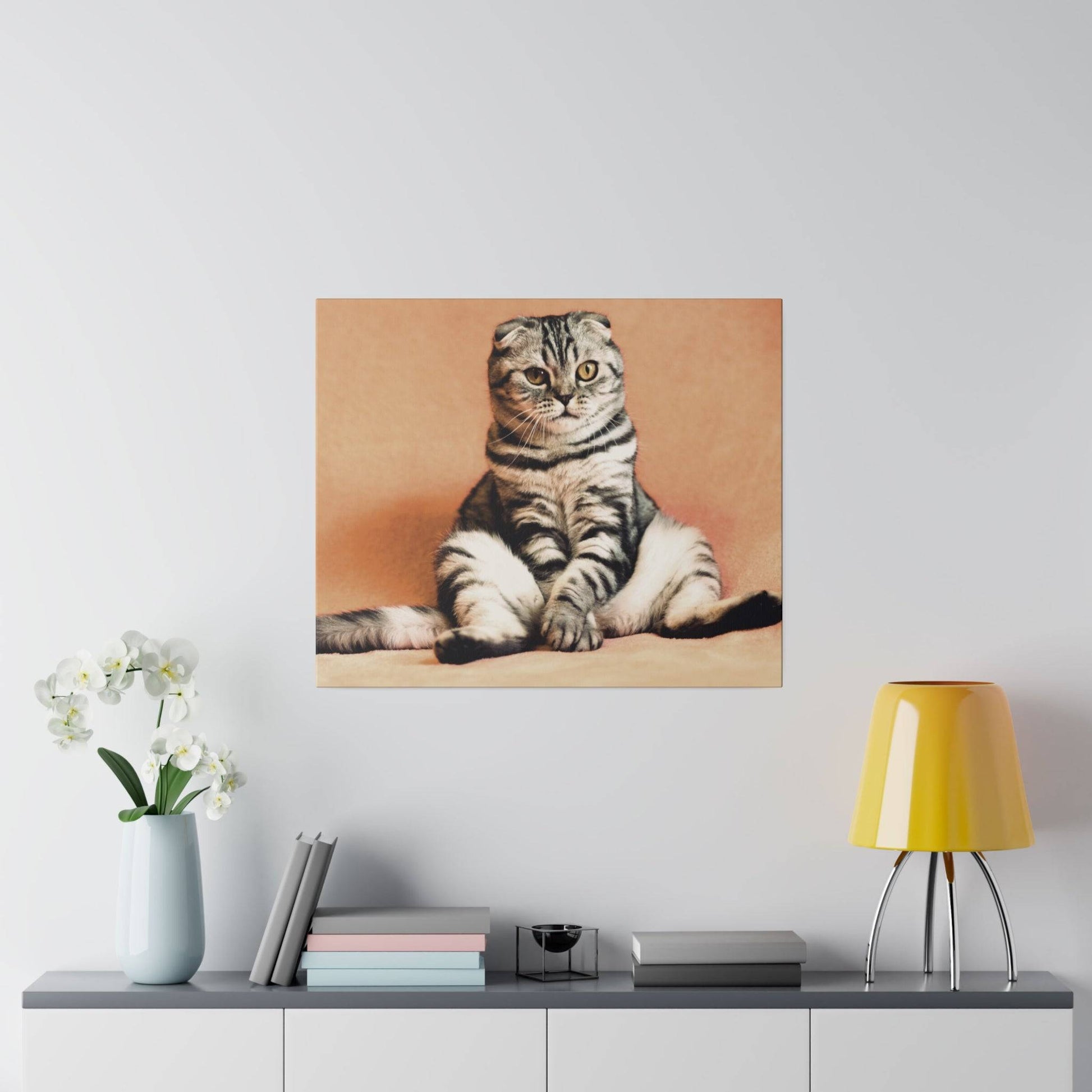 Gray Scottish Fold cat with black stripes, sitting with a composed posture.