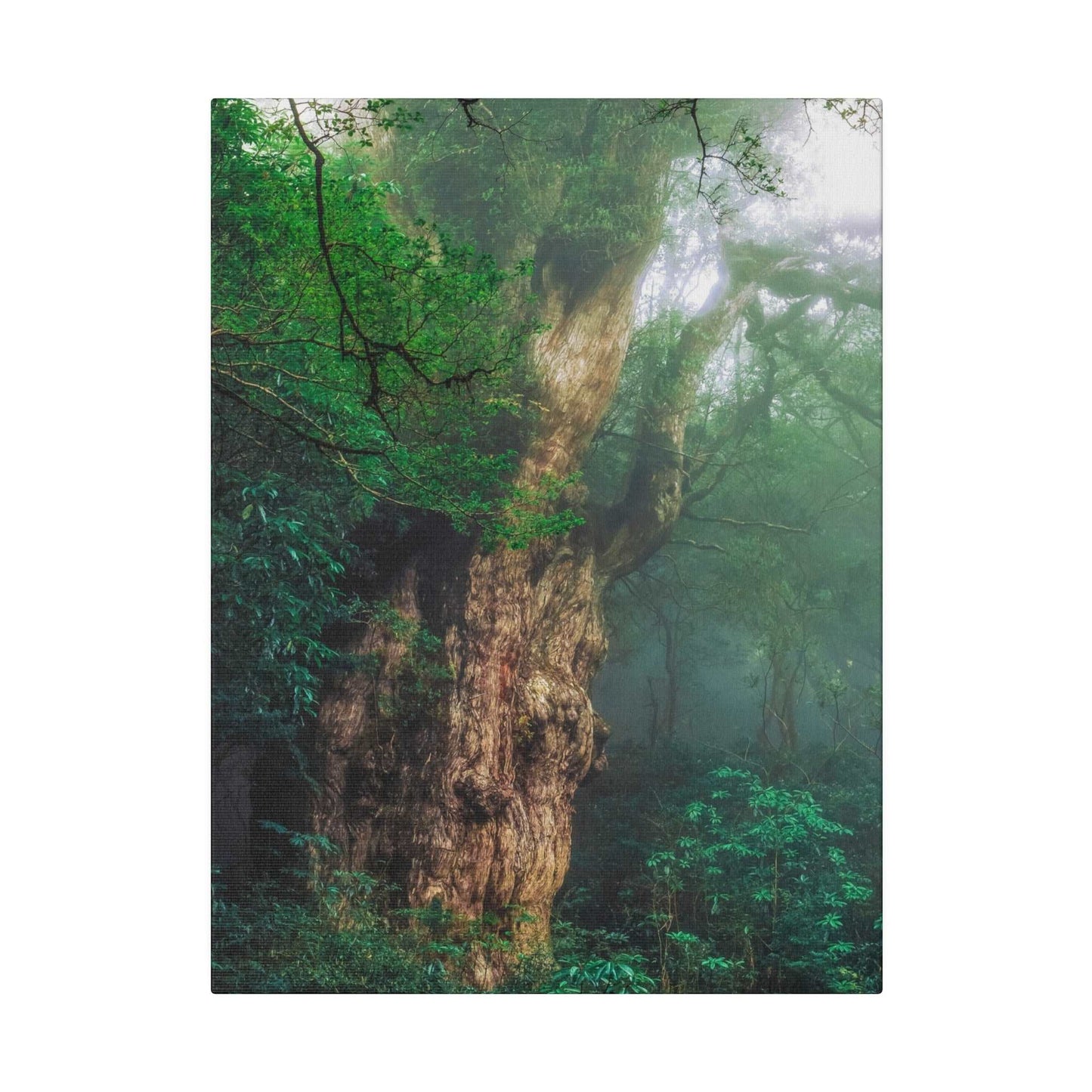 Enchanted Forest: Ancient Tree Canvas Art