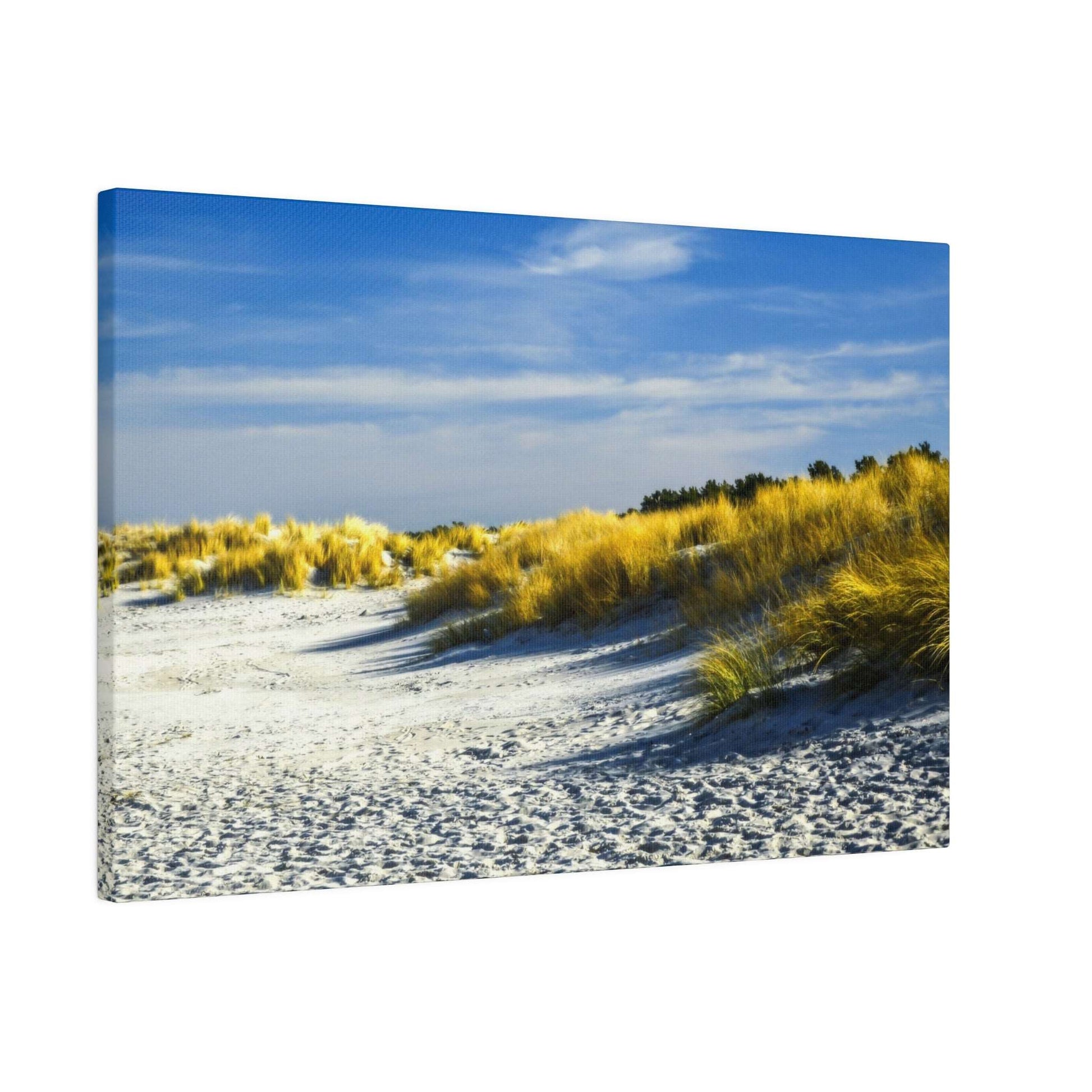 Golden beach grass on sand dunes under a sunny sky, capturing the essence of a tranquil beach day.