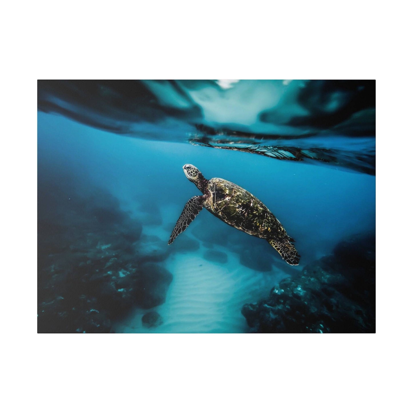 a turtle swimming in the ocean with its head above the water