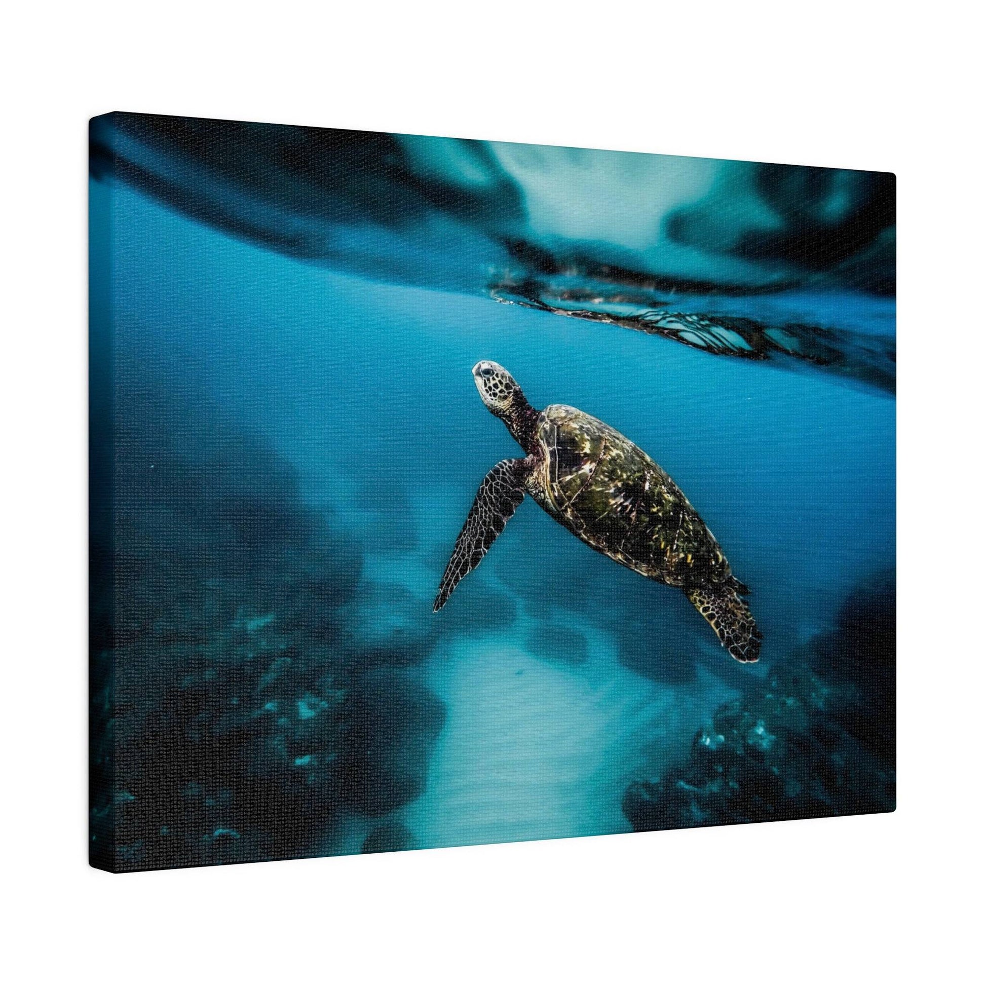 a green turtle swimming in the ocean