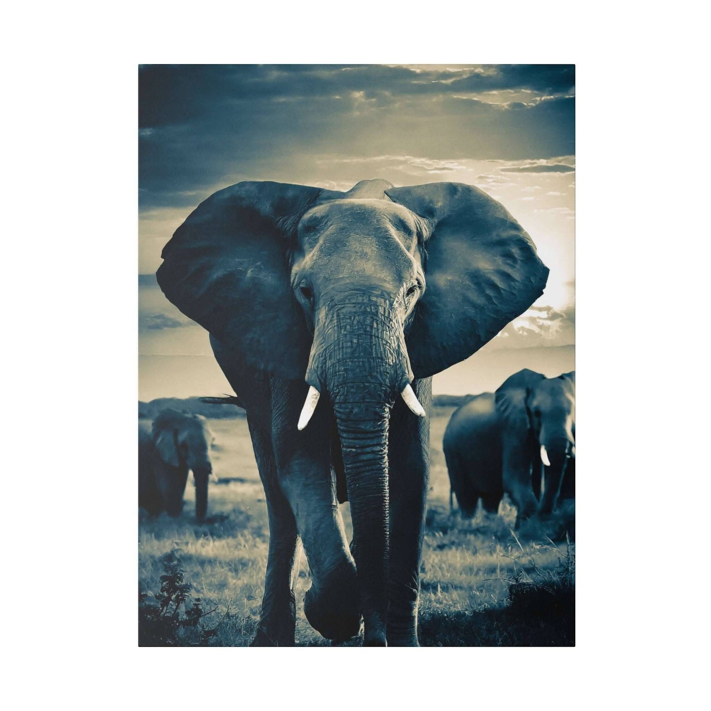 Majestic Elephant Canvas Print - A Glimpse of Wilderness