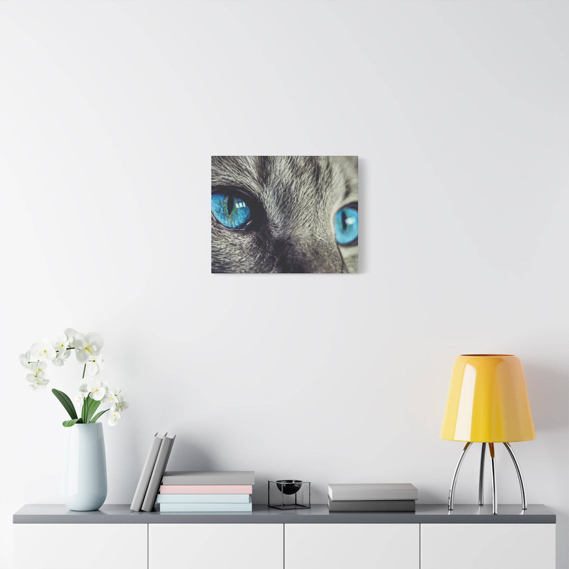 a white cat with blue eyes sitting on a shelf