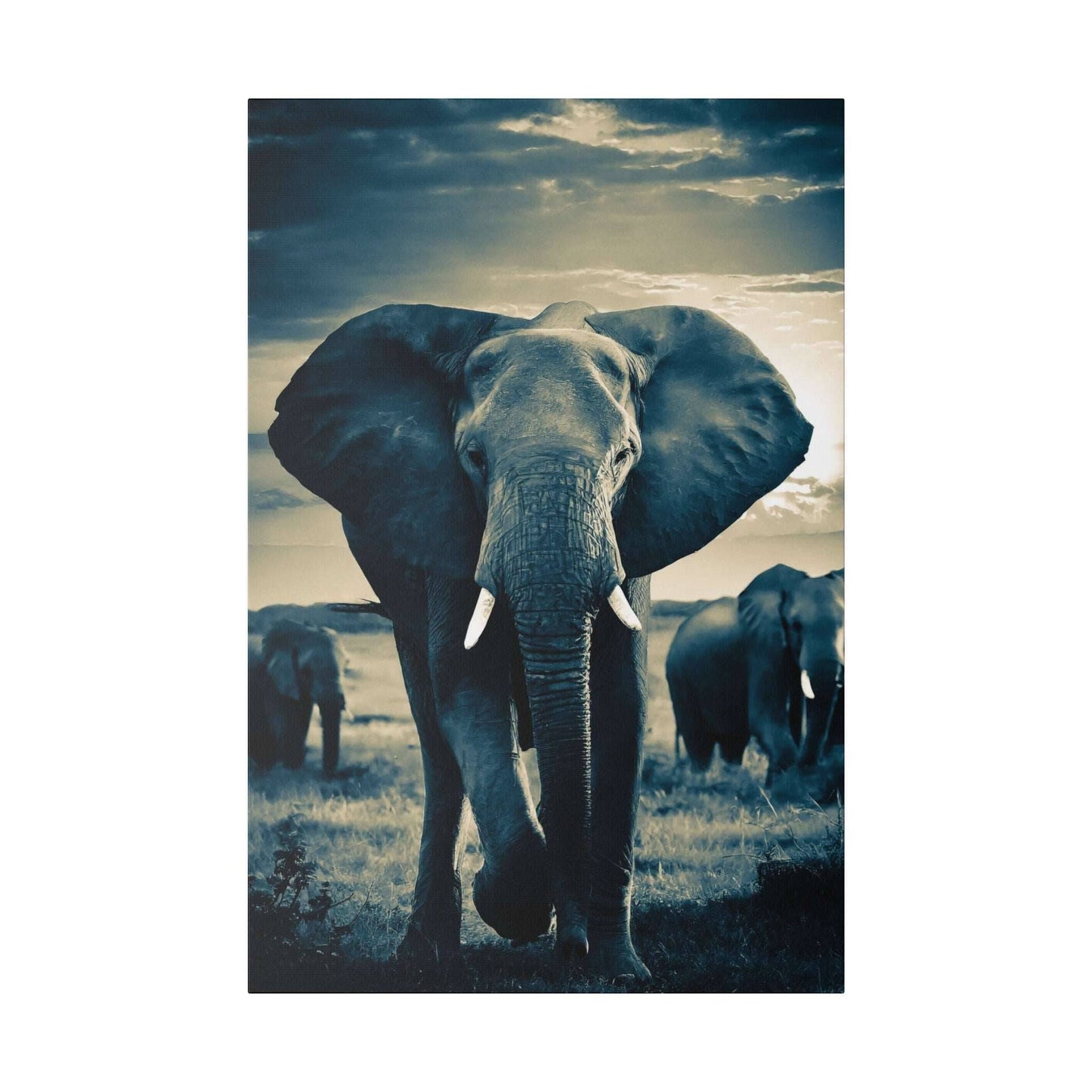 Majestic Elephant Canvas Print - A Glimpse of Wilderness