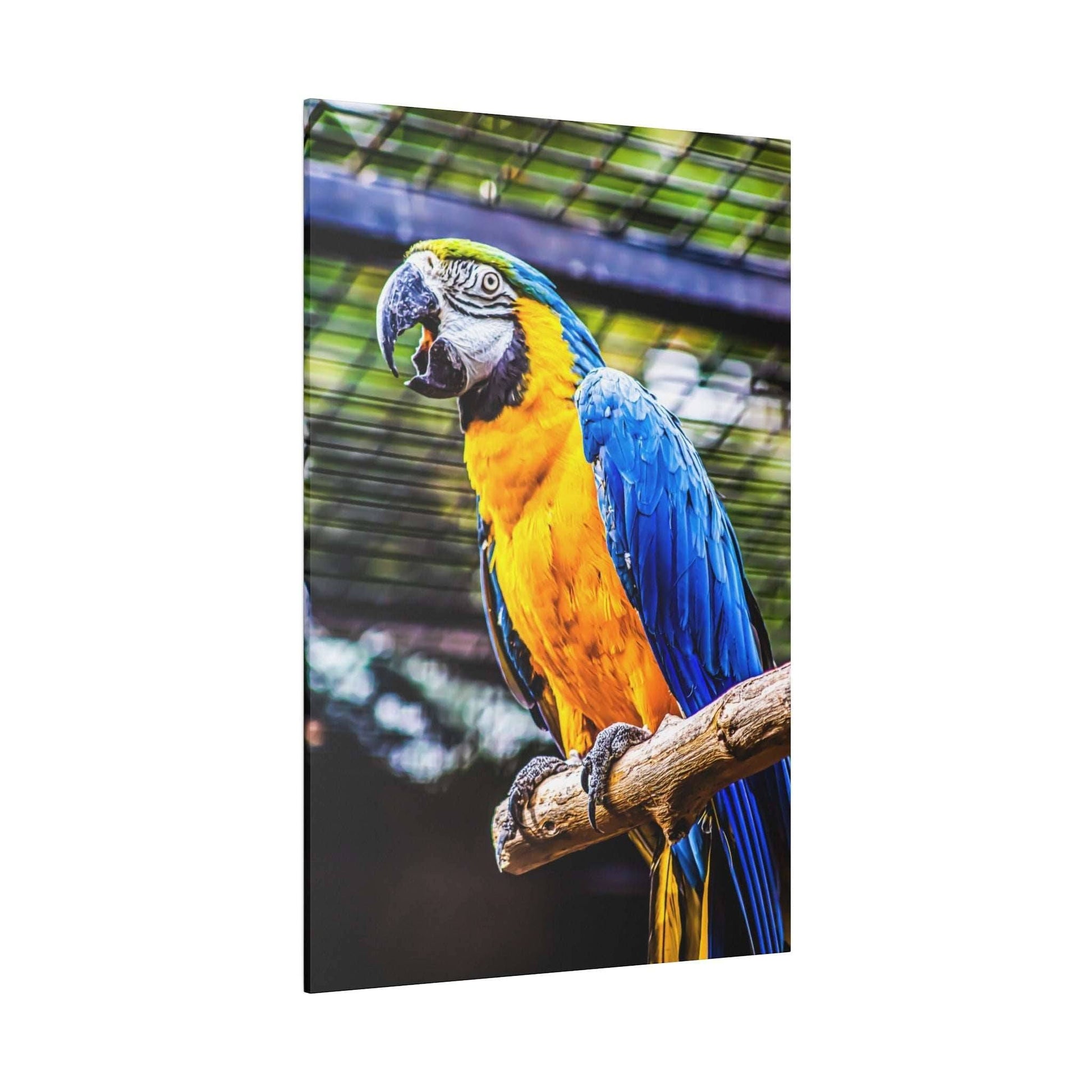 Vibrant Tropics: Macaw Parrot Canvas Print - A Splash of Jungle Colors