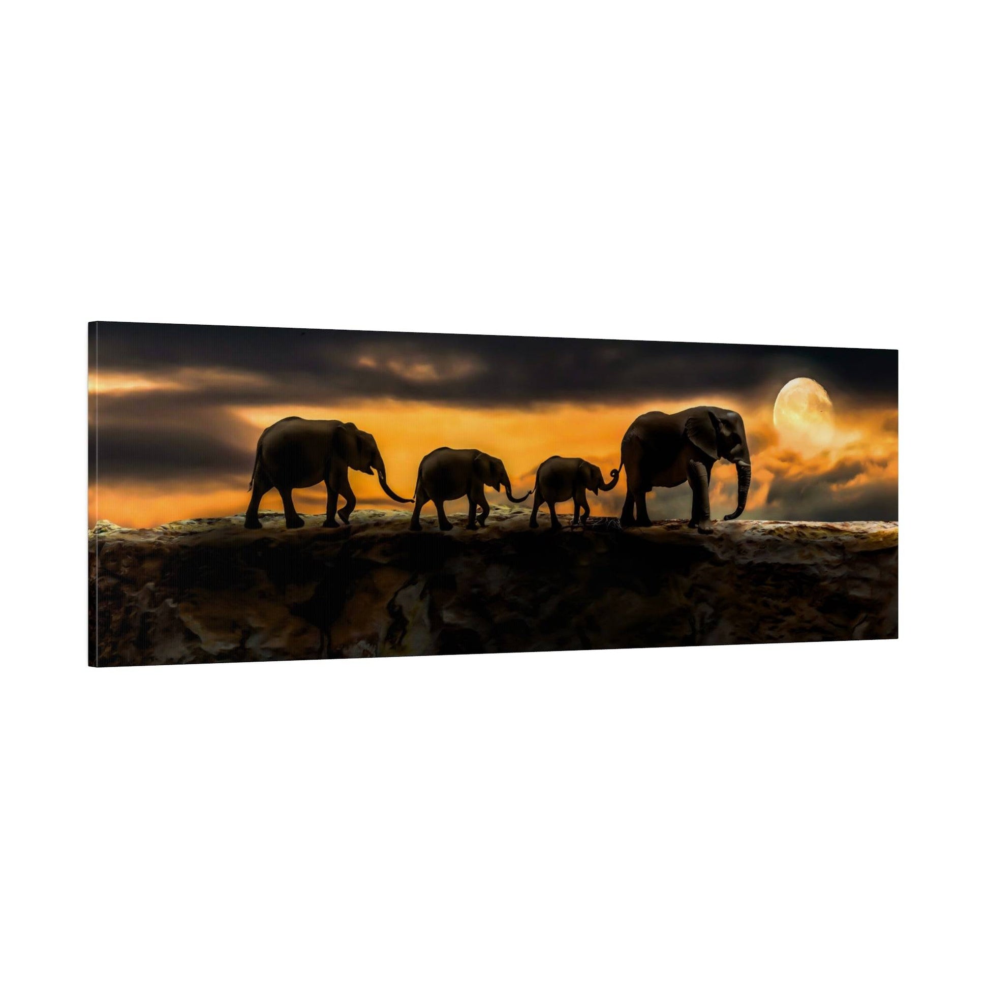 a family of elephants walking across a field