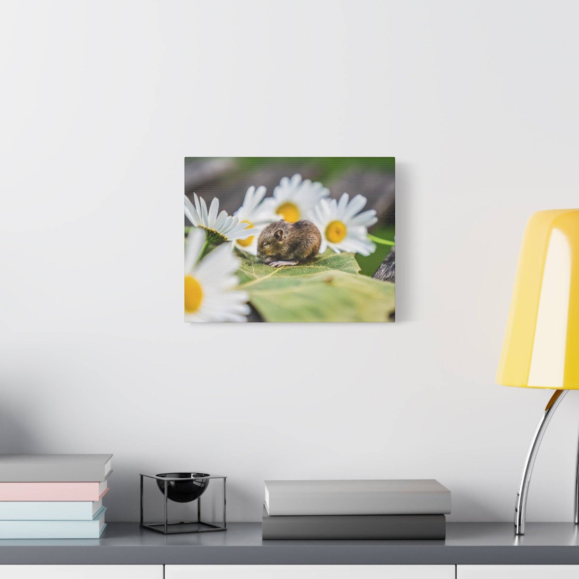 a mouse sitting on top of a daisy