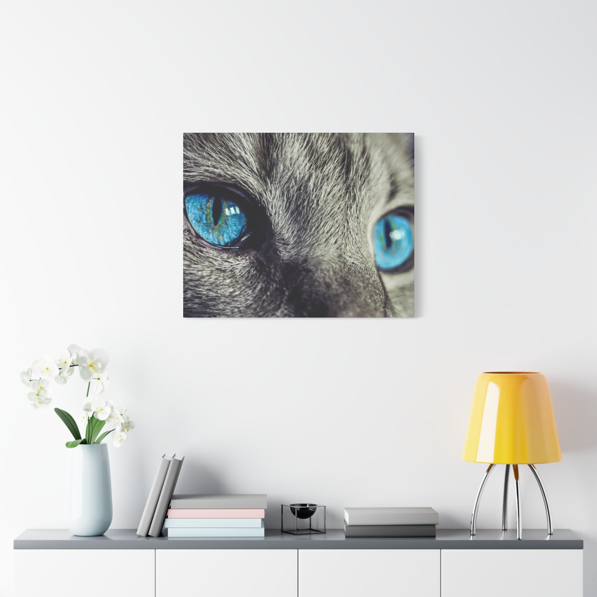 a picture of a cat's blue eyes on a white wall