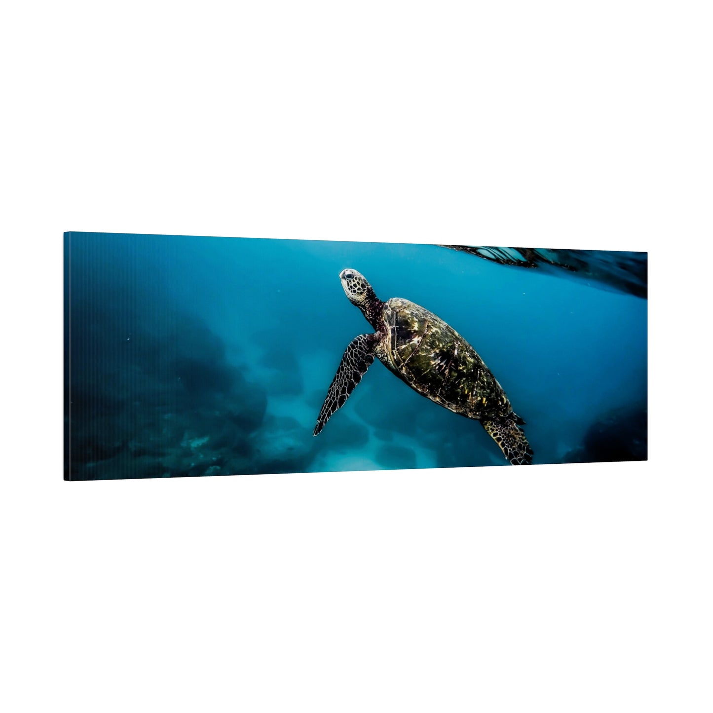 Ocean Grace: Sea Turtle Journey Canvas Art