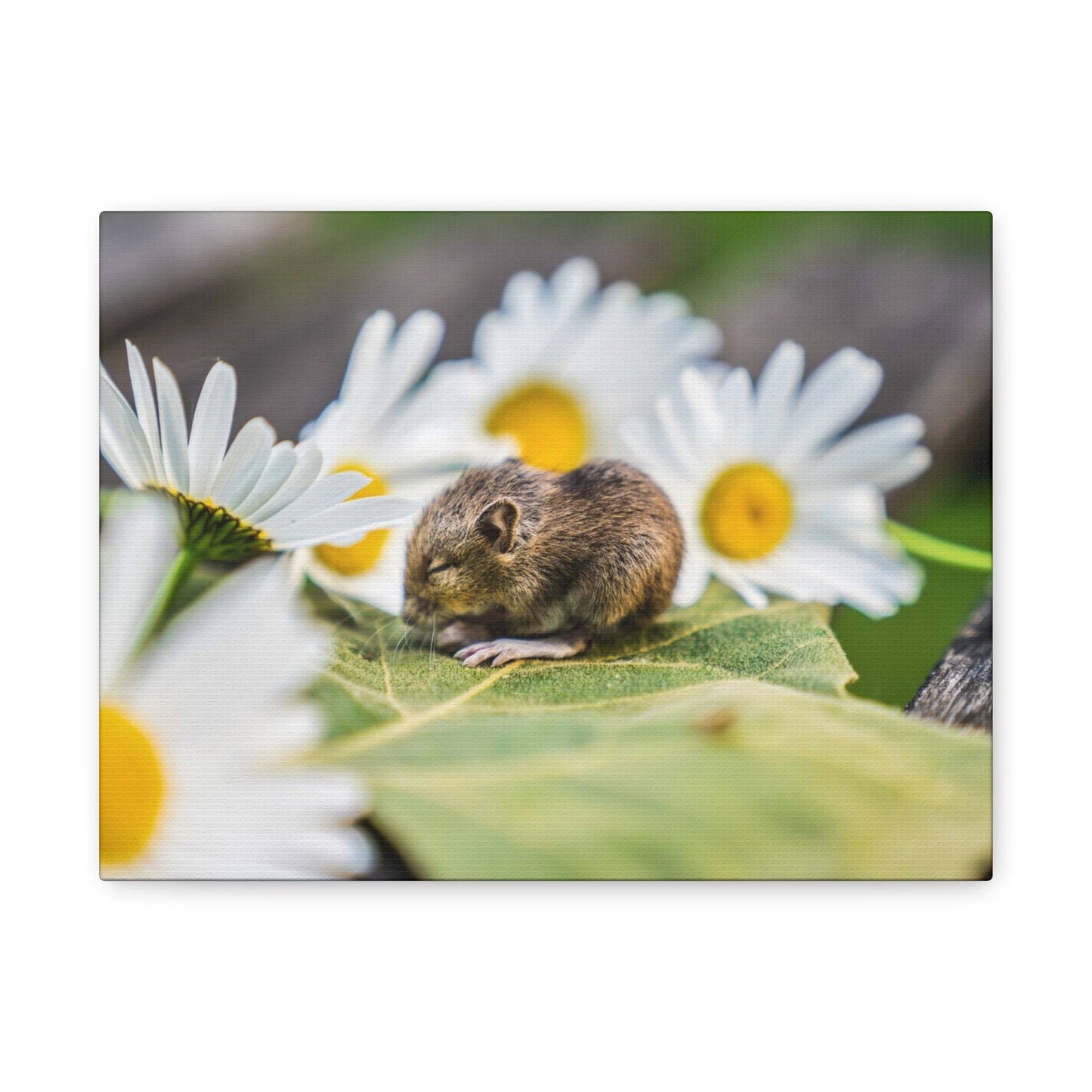 a mouse sitting on a leaf surrounded by daisies