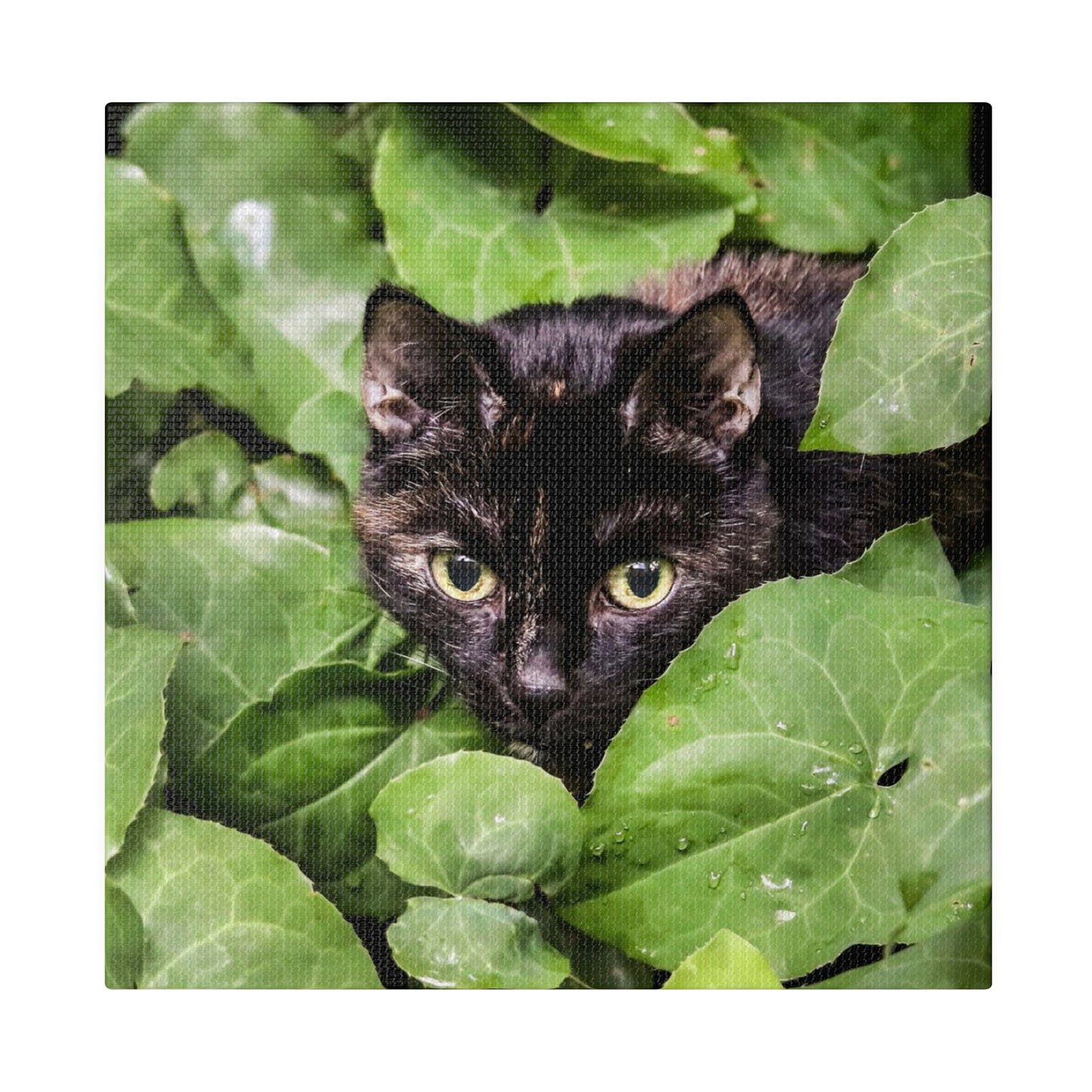 Whimsical Cat in the Garden: Vibrant Nature Canvas Art