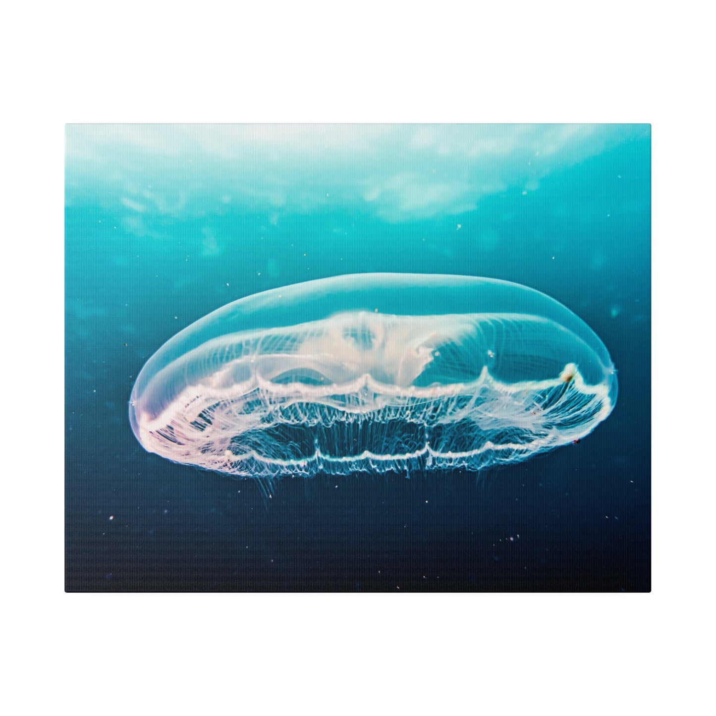 Serene Jellyfish Glide: Underwater Tranquillity Canvas Art