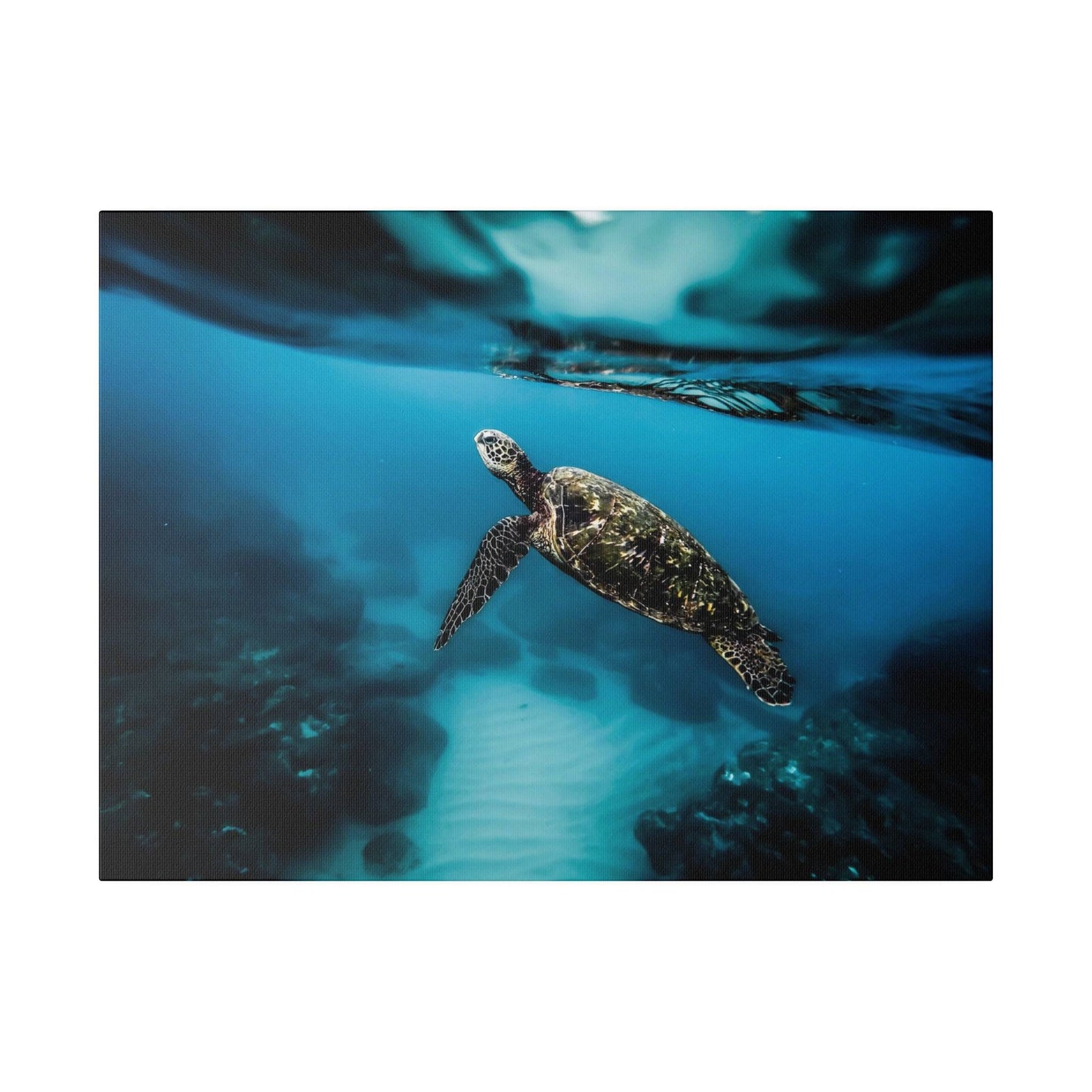 a sea turtle swimming in the ocean