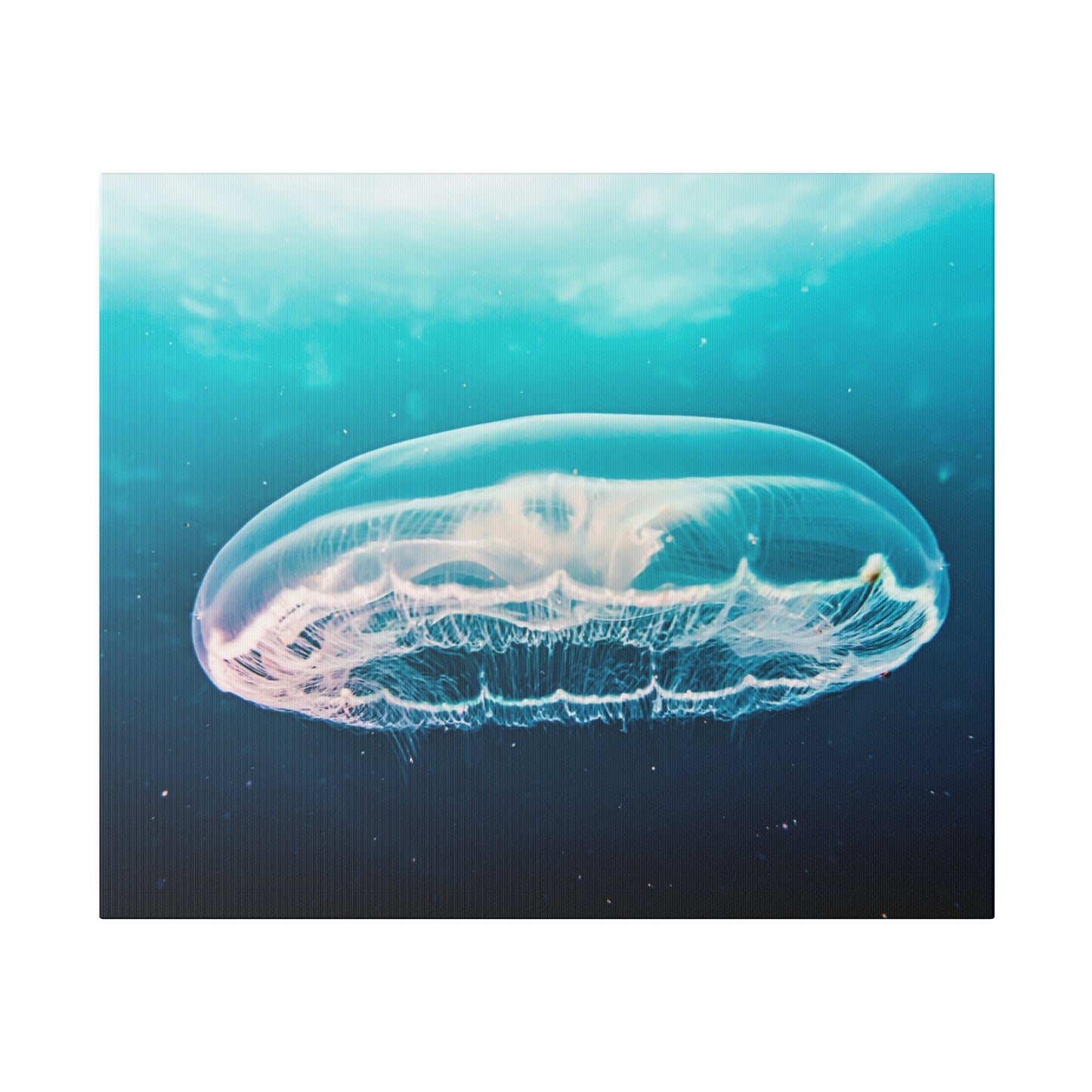 Serene Jellyfish Glide: Underwater Tranquillity Canvas Art