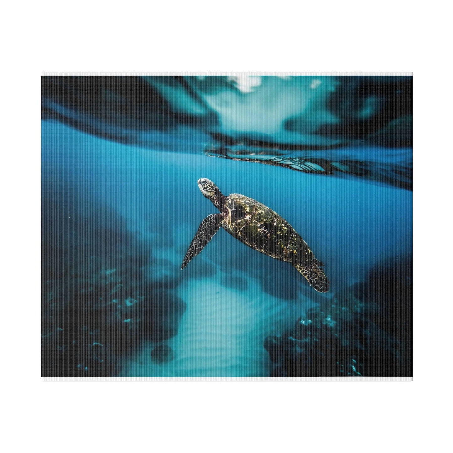 a sea turtle swimming in the ocean