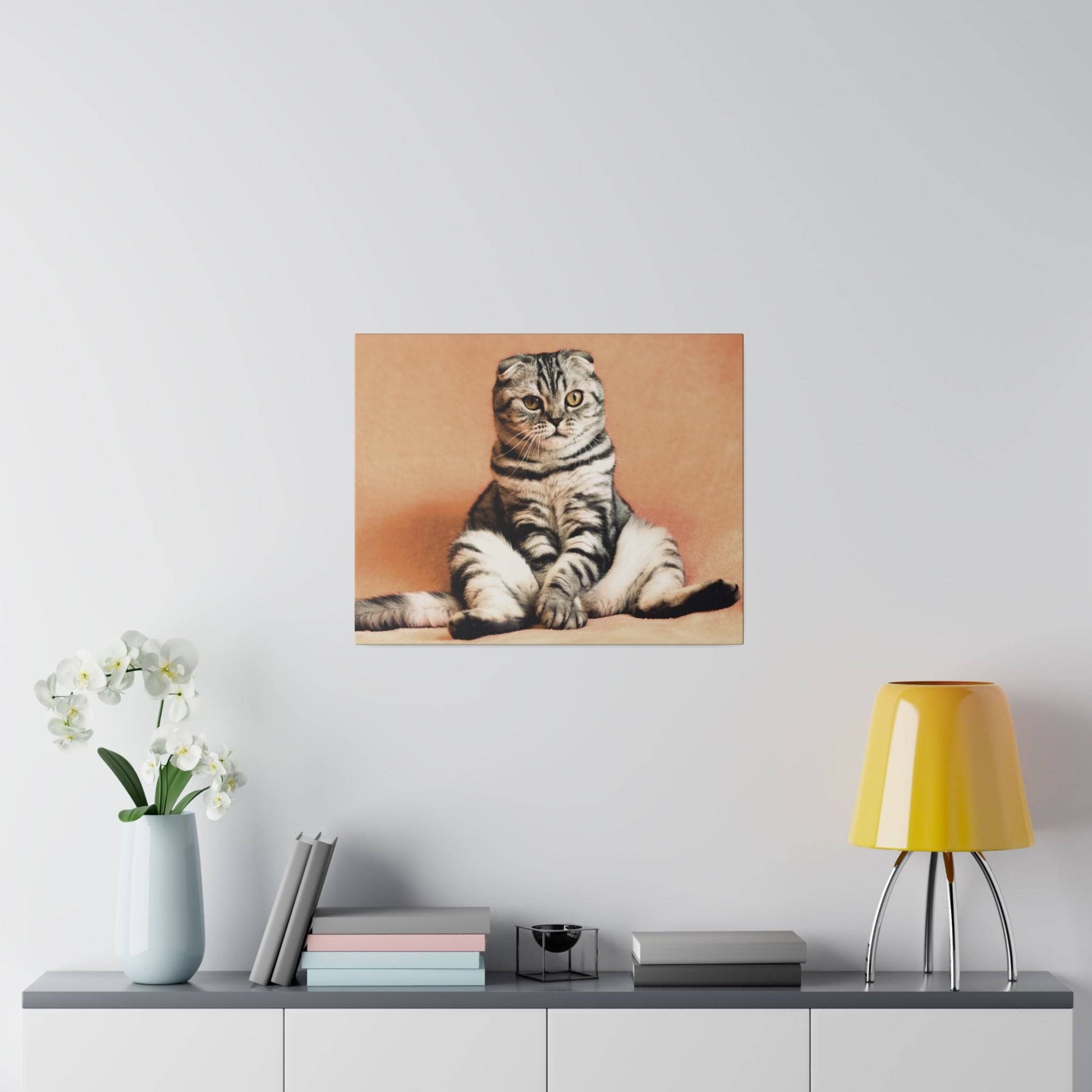 Scottish Fold cat with a calm demeanor and striking striped fur.