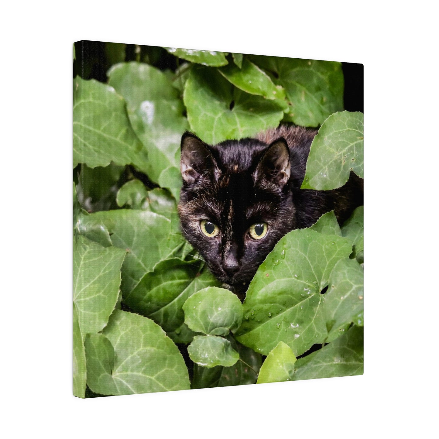 Whimsical Cat in the Garden: Vibrant Nature Canvas Art