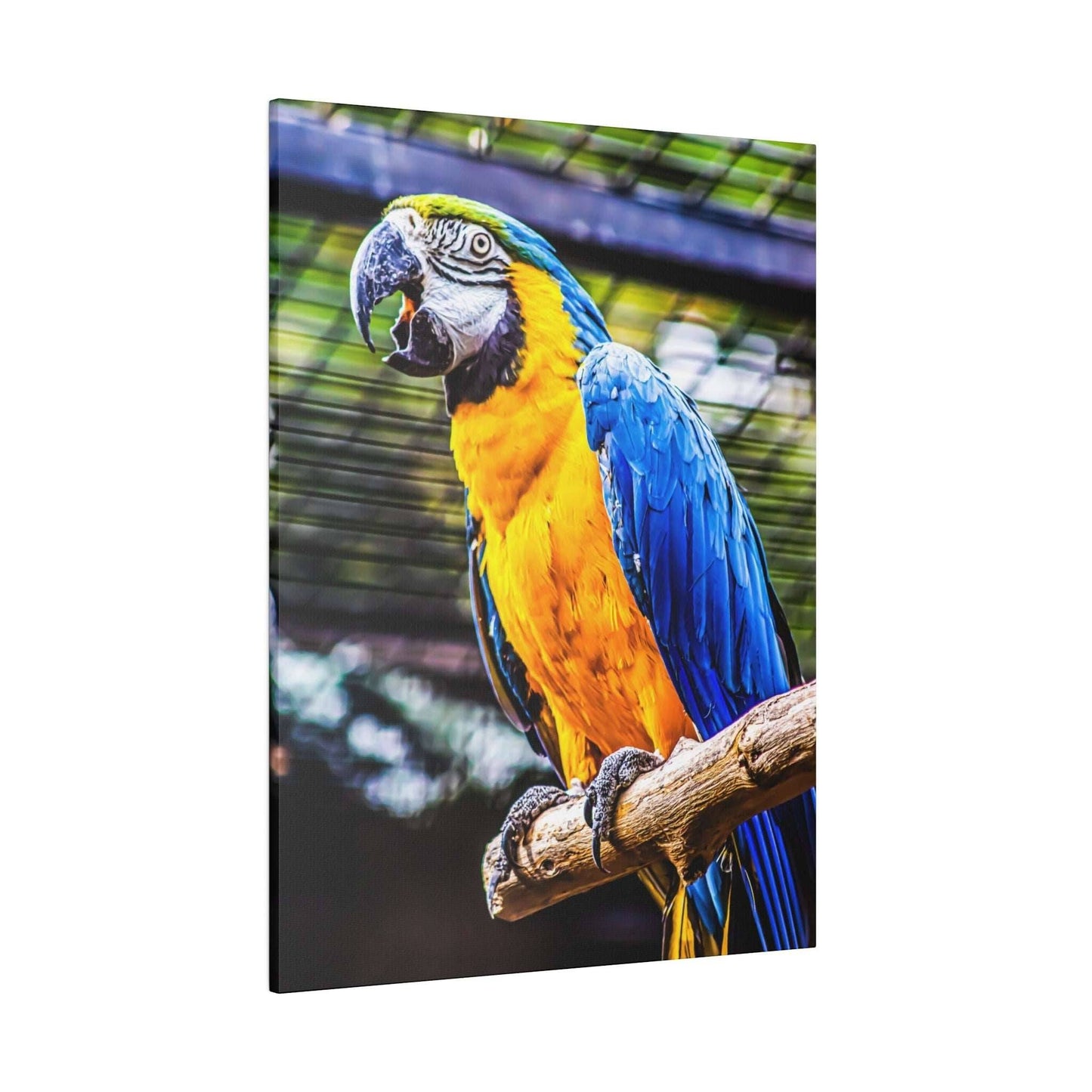 Vibrant Tropics: Macaw Parrot Canvas Print - A Splash of Jungle Colors