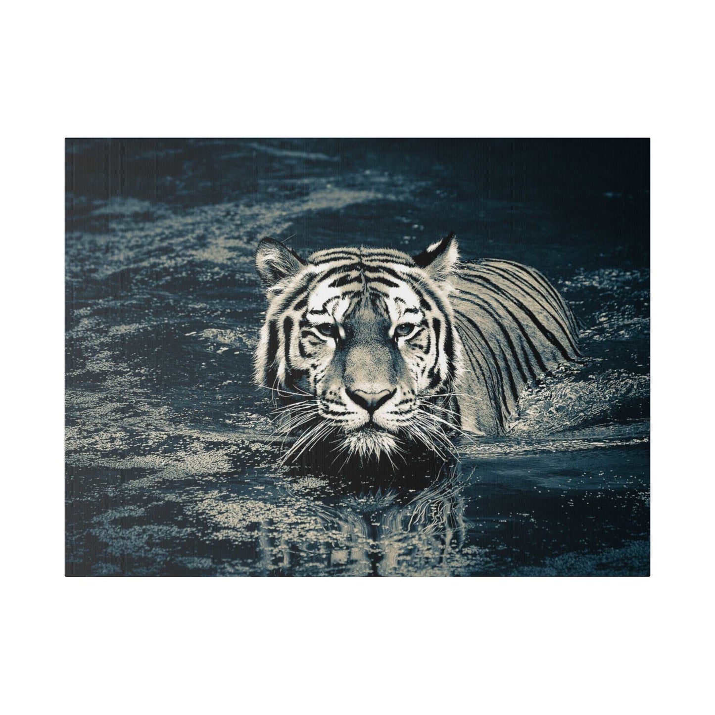 Stealth and Serenity: Monochrome Tiger Water Crossing Canvas Print