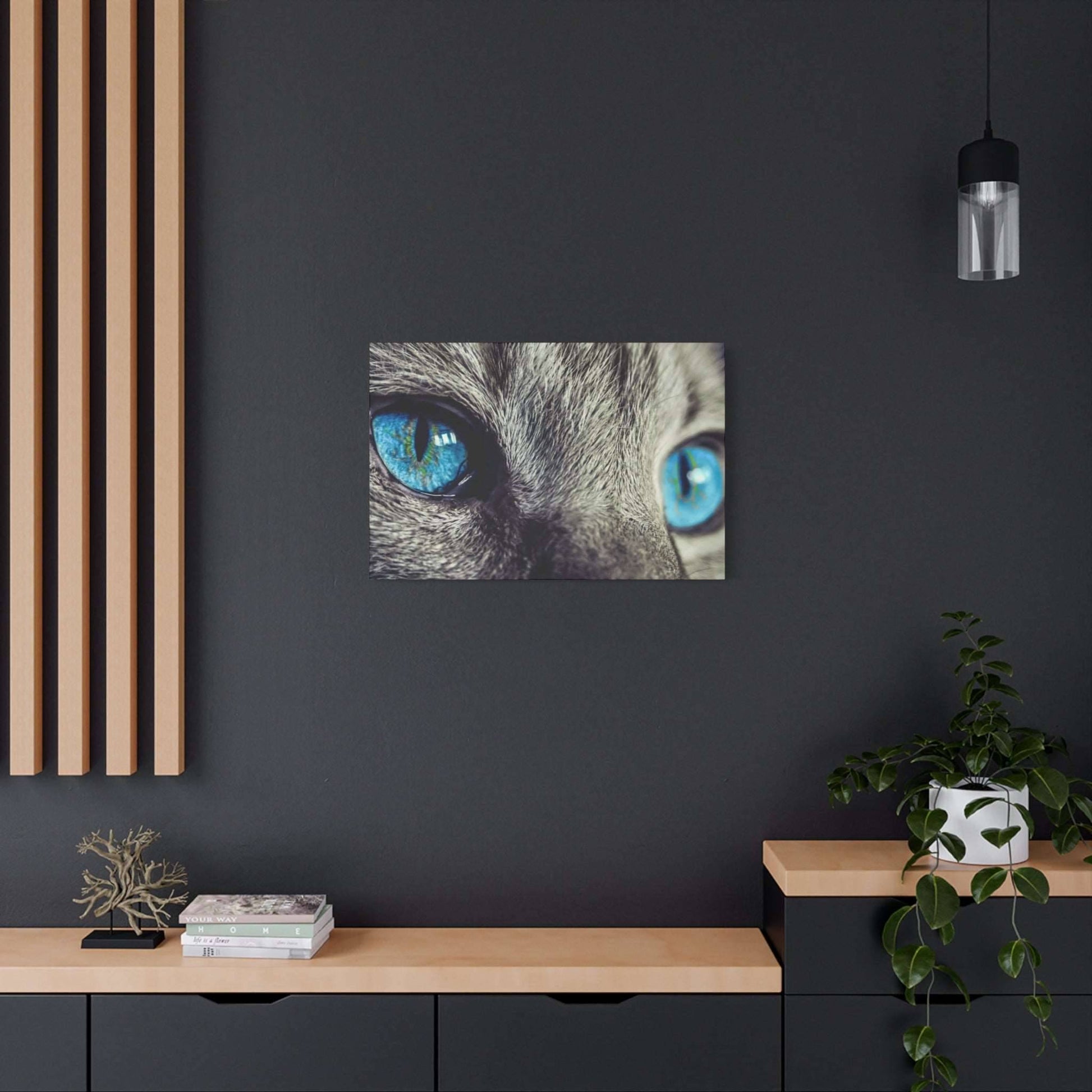 a picture of a cat's blue eyes on a wall