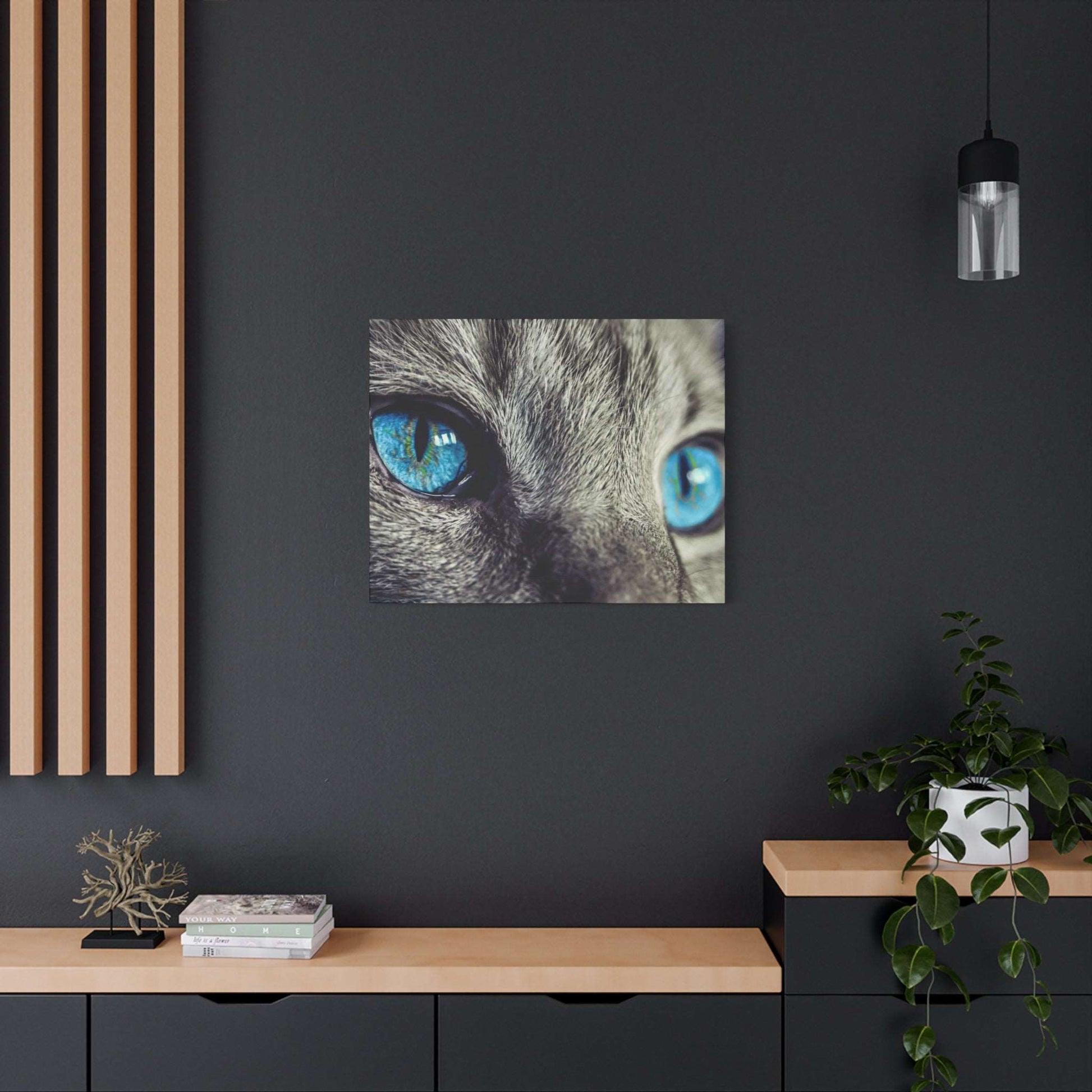 a picture of a cat's blue eyes on a wall