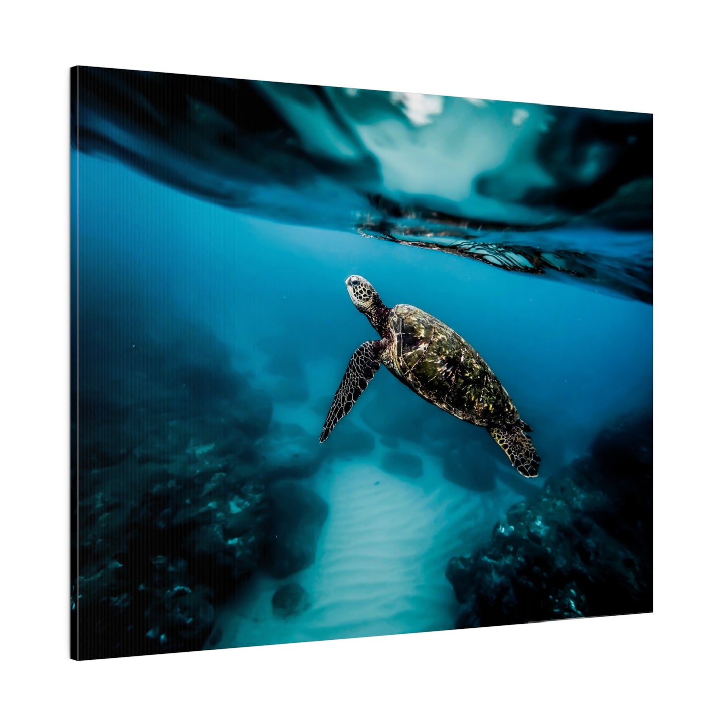 Ocean Grace: Sea Turtle Journey Canvas Art