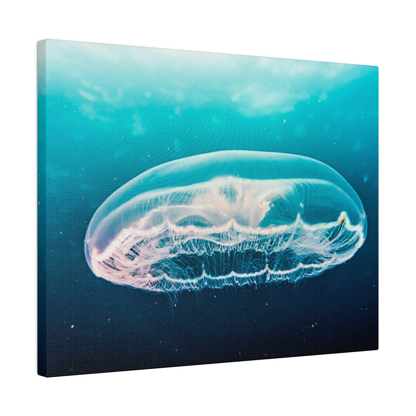 Serene Jellyfish Glide: Underwater Tranquillity Canvas Art