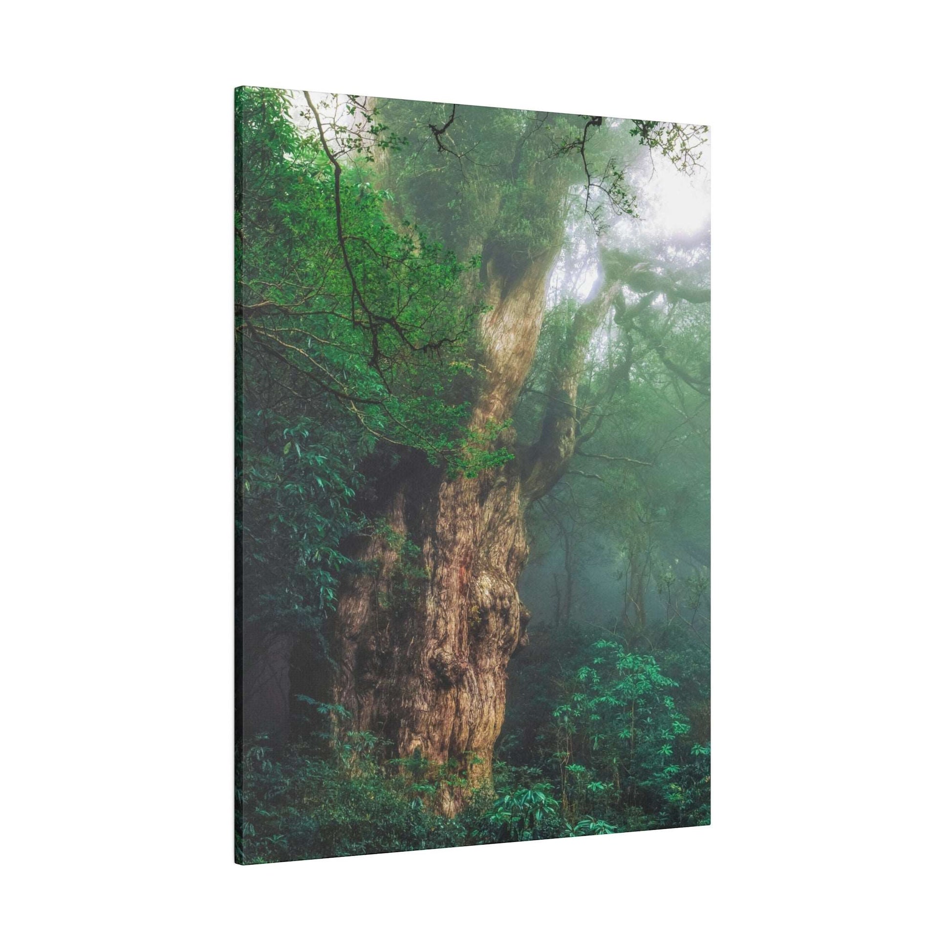 Enchanted Forest: Ancient Tree Canvas Art