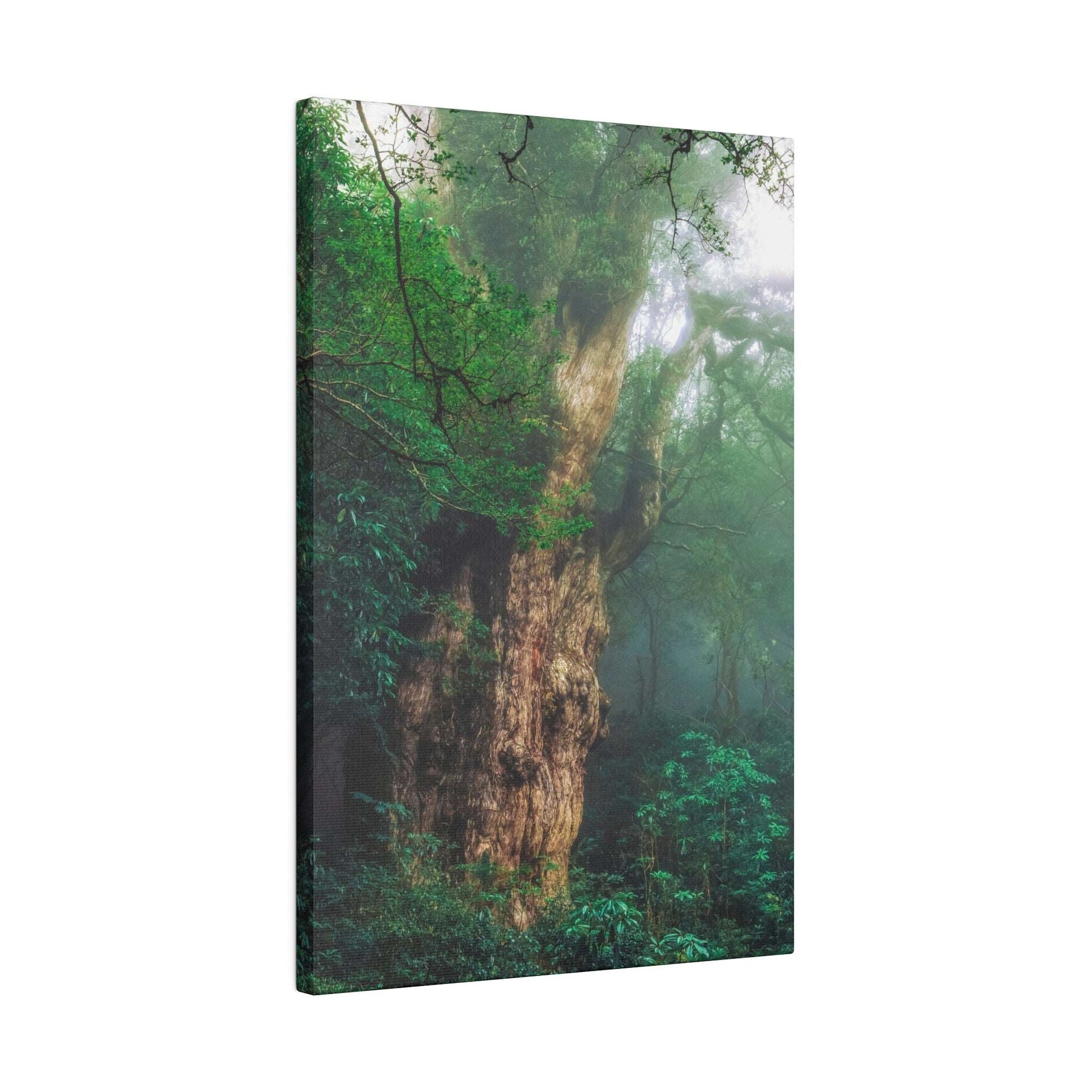 Enchanted Forest: Ancient Tree Canvas Art