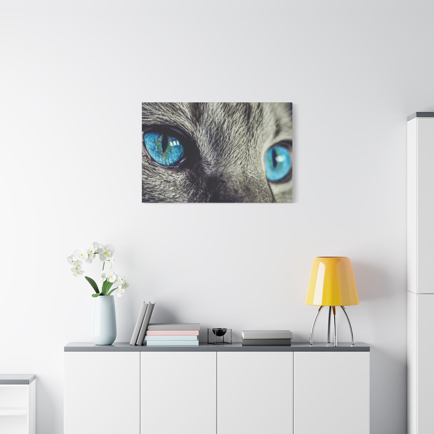 a cat with blue eyes sitting on top of a white cabinet