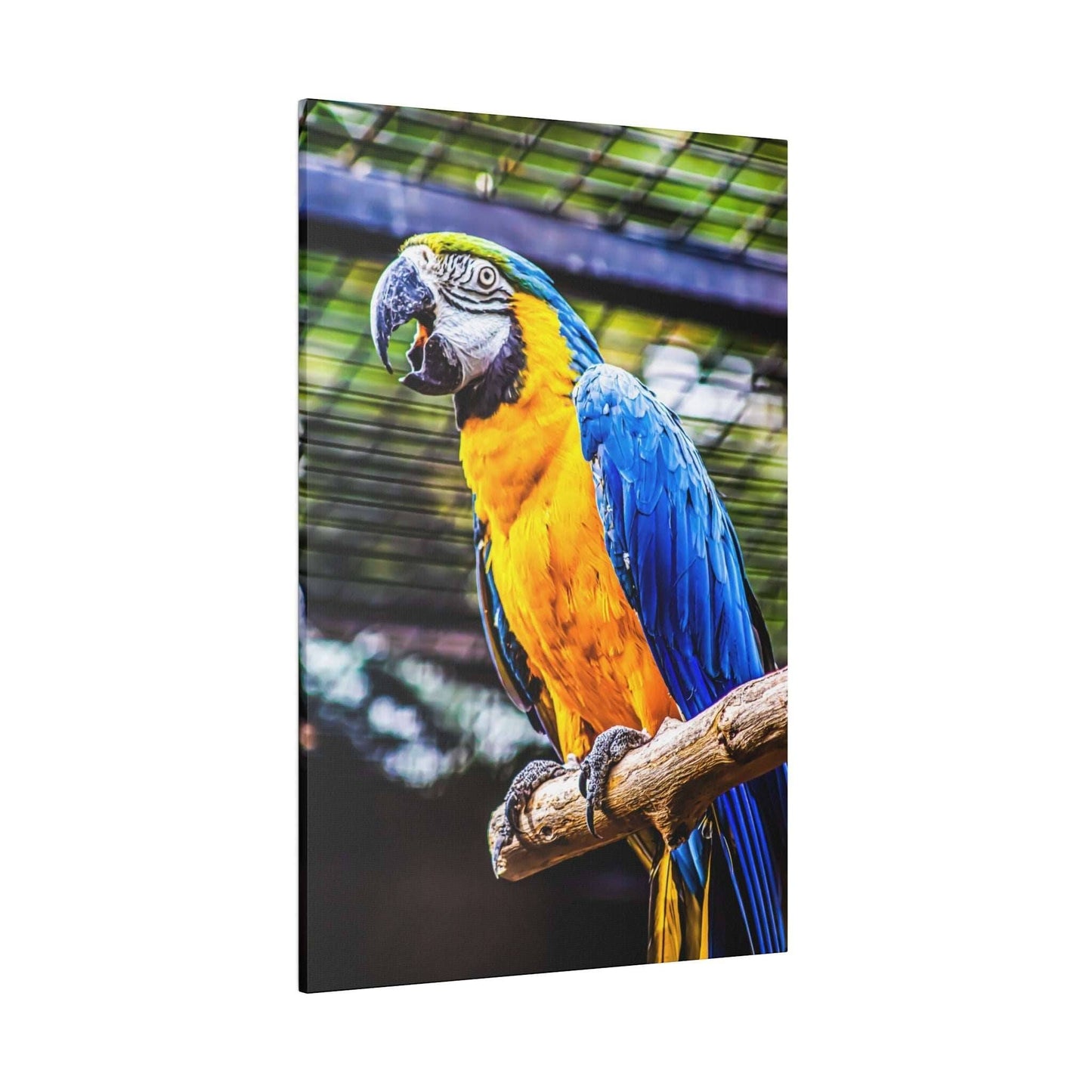 Vibrant Tropics: Macaw Parrot Canvas Print - A Splash of Jungle Colors