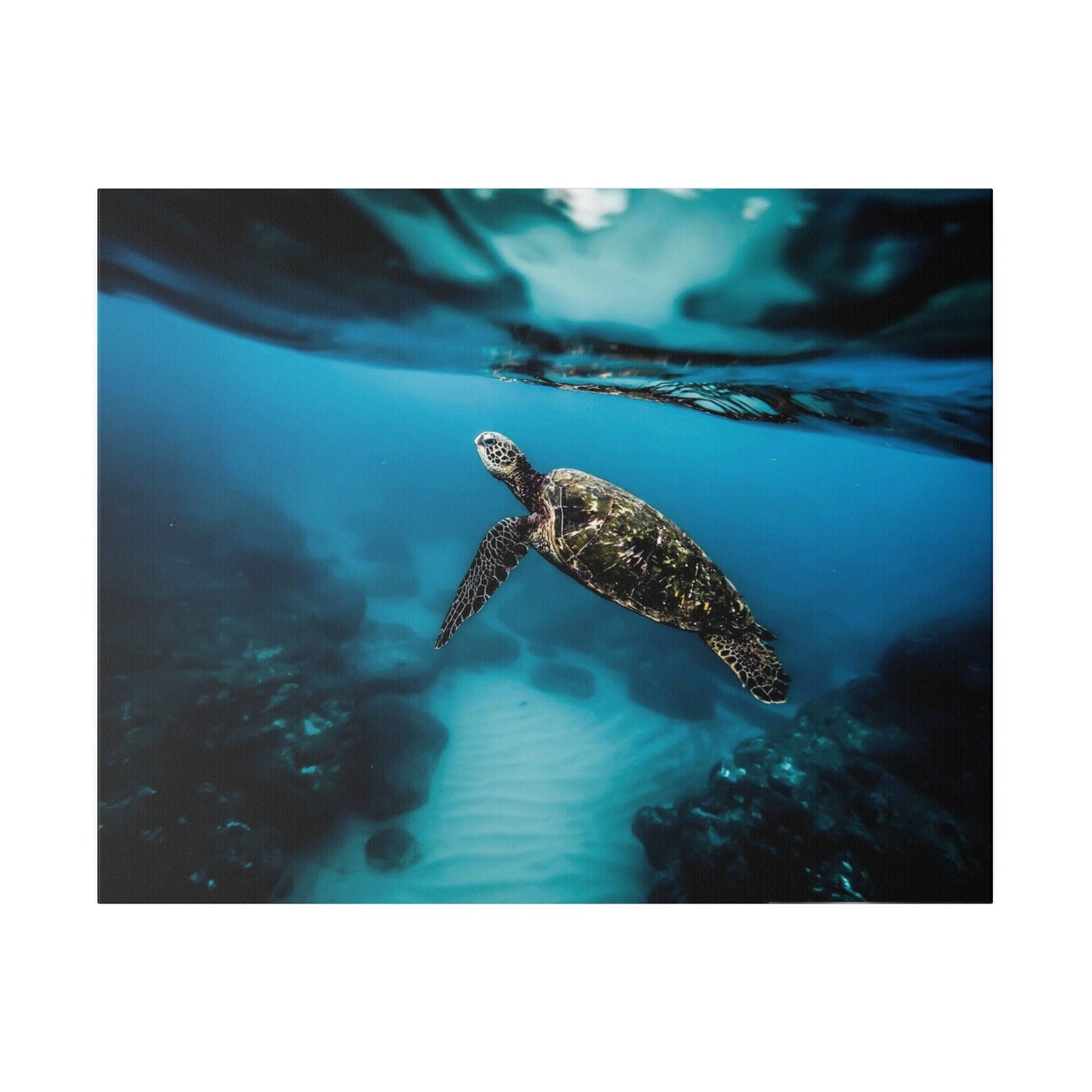 a turtle swimming in the ocean with its head above the water