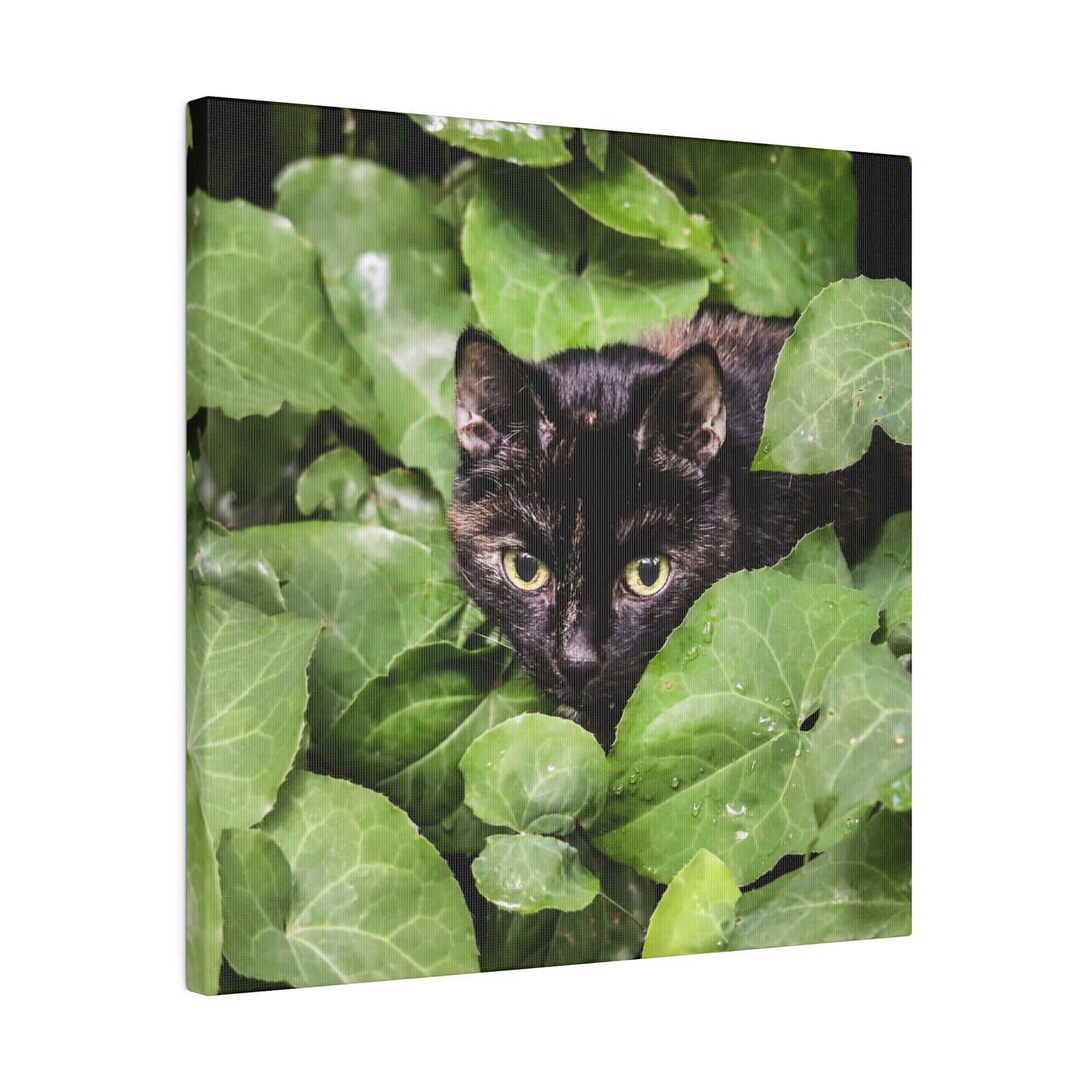 Whimsical Cat in the Garden: Vibrant Nature Canvas Art