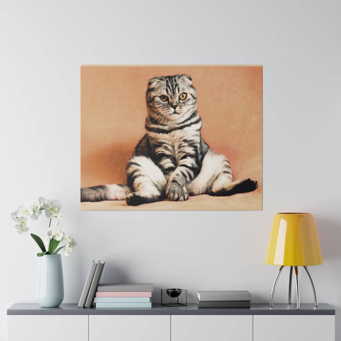 Close-up of a Scottish Fold cat sitting on a soft background.