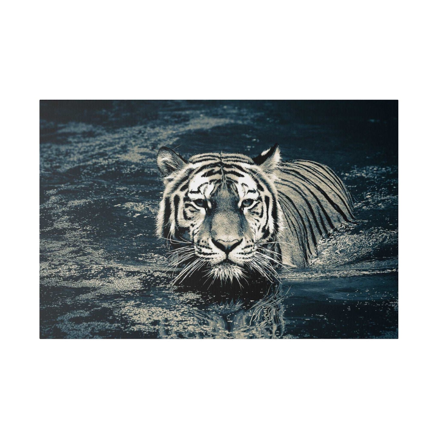 Stealth and Serenity: Monochrome Tiger Water Crossing Canvas Print