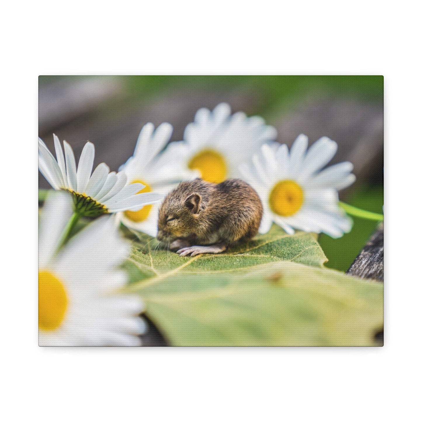 a mouse sitting on top of a green leaf