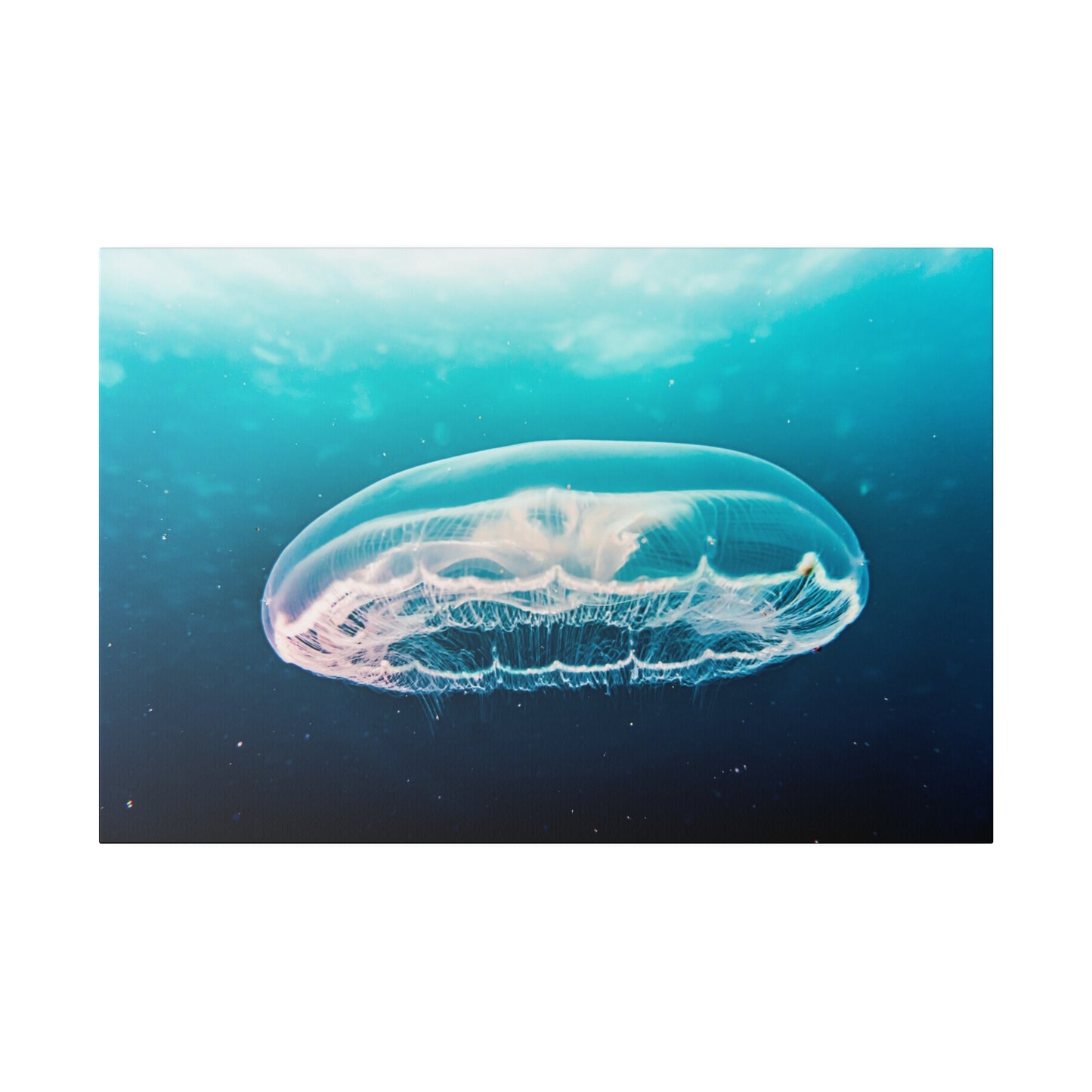 Serene Jellyfish Glide: Underwater Tranquillity Canvas Art