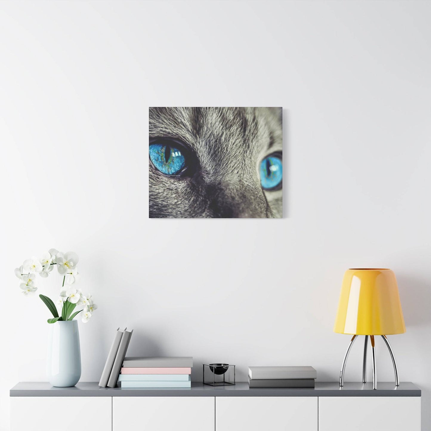 a white cat with blue eyes sitting on a shelf