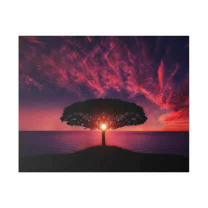 Silhouetted tree on a hill by a calm sea at sunset, sun peeking through branches amid pink‑red clouds.
