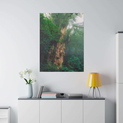 Tall vertical canvas print of an ancient tree in a lush green forest, mounted on a white wall above a cabinet.