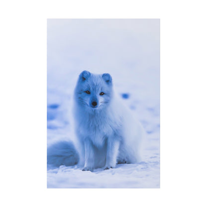 An Arctic fox with white fur sits on snow in a winter landscape, facing the camera.