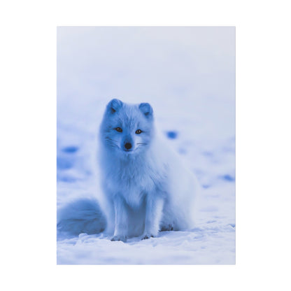 White arctic fox sitting on snowy ground, facing the camera with fluffy fur in a blue-toned, icy landscape.