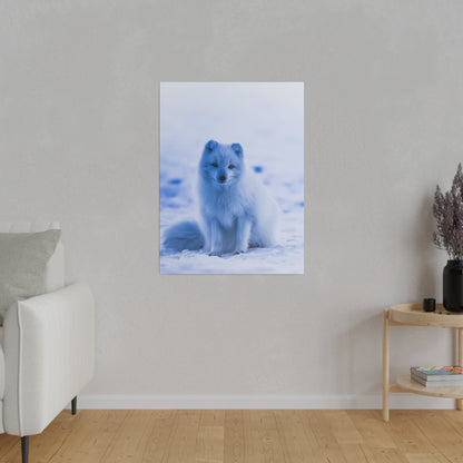 A white Arctic fox sits on snow facing the camera in a blue-tinged winter scene.