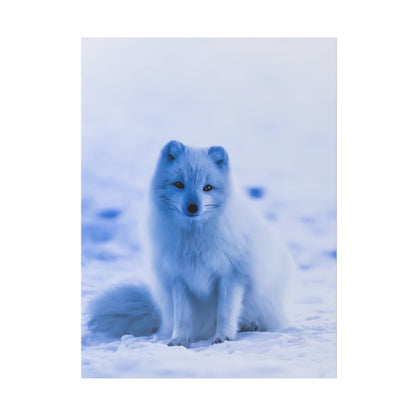 White Arctic fox sitting on snow with a blue-tinted icy landscape in the background.
